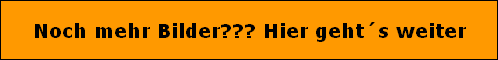 Noch mehr Bilder??? Hier geht�s weiter